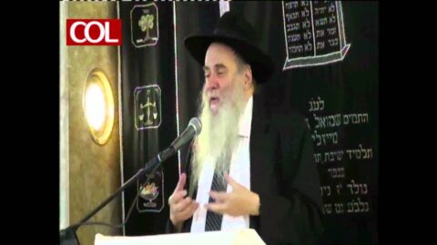 Le Rav Moché Kotlarsky parle de M. Sami Rohr ע"ה