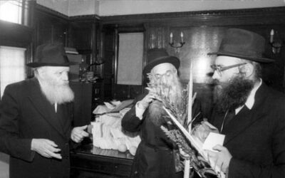 Comment le Rabbi choisissait-il les quatre espèces de la fête de Souccot ?