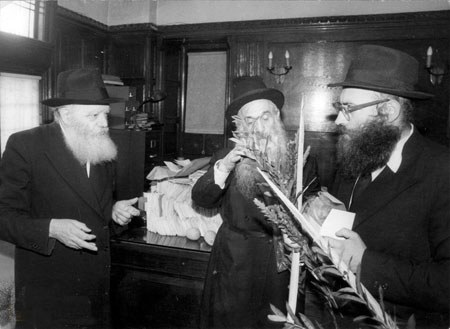 Comment le Rabbi choisissait-il les quatre espèces de la fête de Souccot ?