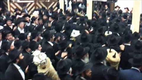 Inauguration d'un Sefer Torah au 770