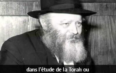 Vidéo du Rabbi : "Entendre le cri d'un enfant"