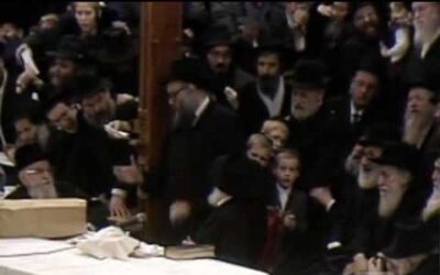 Vidéo du Rabbi : Nigוun "Niet Niet Nikavo"