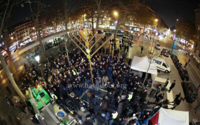 Allumage public à la place de la République, mercredi 27 novembre 2013