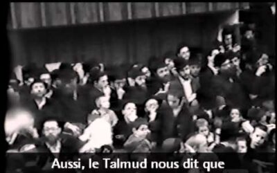 Vidéo du Rabbi : Une partie d'un tout