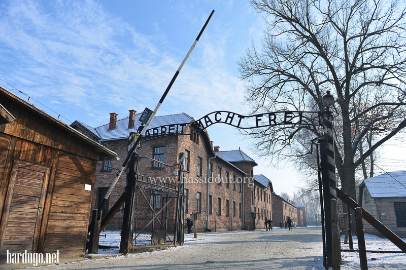 "La marche de la vie" 5774 à Auschwitz
