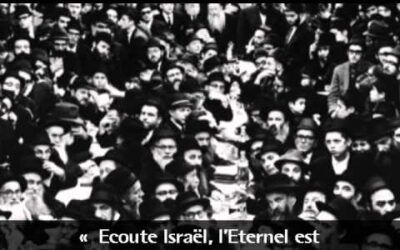 Vidéo du Rabbi : L'eau qui donne la vie
