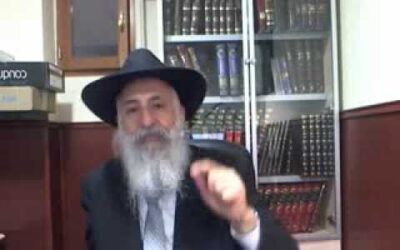 Pékoudé "les noms de D.ieu" par le Rav Yossef David Cohen
