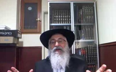 Chemini-Para "lever le petit doigt" par le Rav Yossef David Cohen
