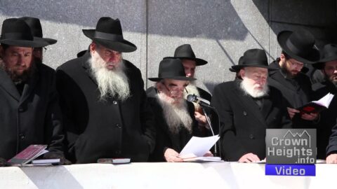 Les Hassidim écrivent un Pan Klali au Rabbi
