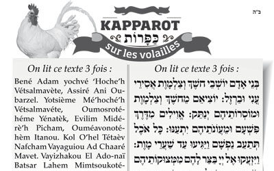 Texte des Kapparot en PDF