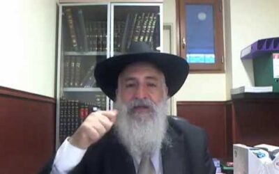 VIDEO : La Paracha &lsquo;Hayé Sarah "une génisse parfaite" par le Rav Yossef David Cohen