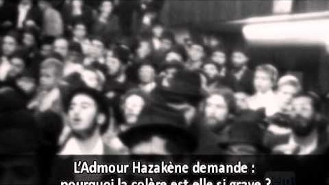 Vidéo du Rabbi : Prédestination