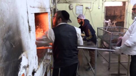 VIDEO. Matsot Chemourot de Kfar Habad : production spéciale "Haboura" pour la France