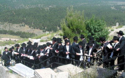 13 Iyar : Yortsaït du Rav Israel Arié Leib, frère du Rabbi