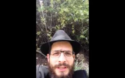 La Paracha Behaalote'ha en 1 minute : Allumage de la Menore, un travail pour Aaron