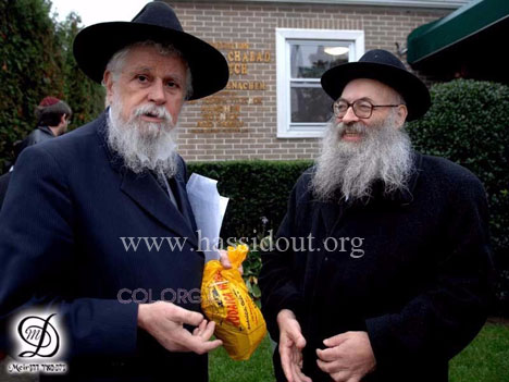 rav klein rav azimov