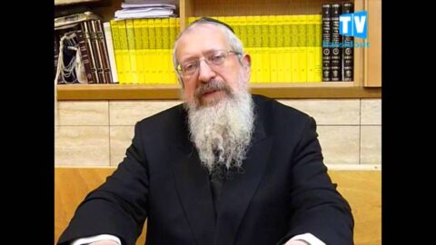 Lois des 9 jours par le Rav Avraham Barou'h Pevzner