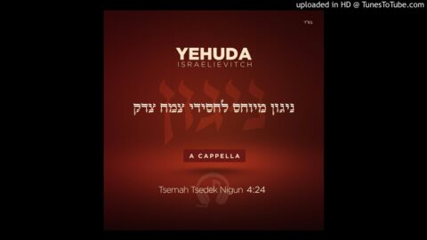 Version a cappella du Nigoun des Hassidim du Tsema'h Tsedek par Yehuda Israelievitch