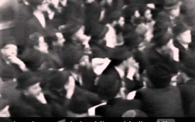 Vidéo du Rabbi : Etude à plein temps