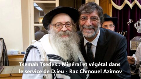 - אֵשׁ תָּמִיד תּוּקַד עַל הַמִּזְבֵּחַ לֹא תִכְבֶּה - Tsemah Tsedek : Minéral et végétal dans le service de D.ieu - Rav Chmouel Azimov
