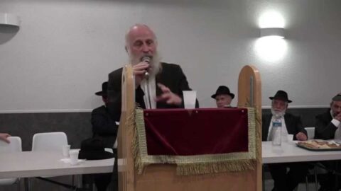 Discours du Rav Yehiel Kalmenson aux Chiva de Shneor Zalman z"l Pevzner