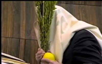 Vidéo du Rabbi : Les Quatre Espèces
