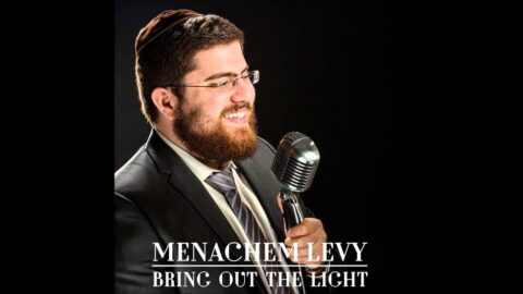 Le nouveau single de Menahem Levy "Bring Out The Light"