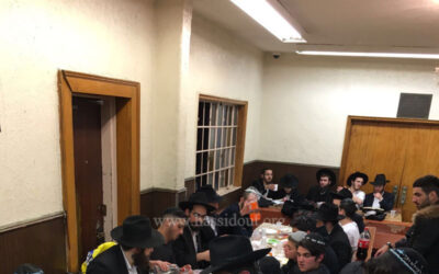 EN IMAGES : Voyage du groupe des jeunes de Netanya chez le Rabbi