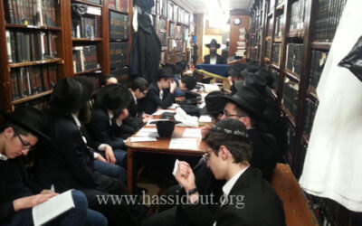 Photo du jour : cours de Hassidout du Rav David Vorst pour les Ba'hourim français au 770