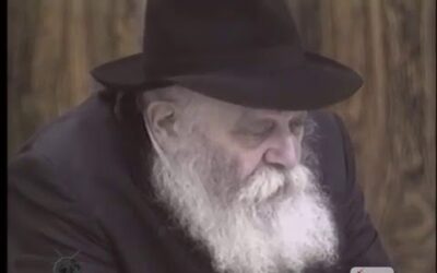 Video du Rabbi : Hagout Moed!