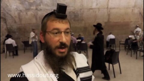VIDÉO : Hana'hat Téfilines de Haï Israël Méir Chemla (fils de Rav Reouven), 18 Elloul 5776 au Kotel
