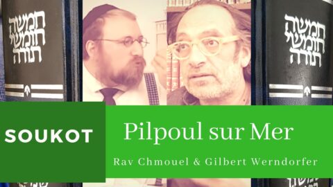 Pilpoul sur Mer : Souccot