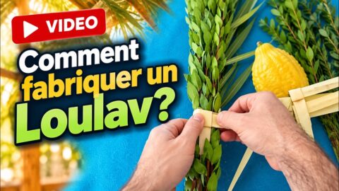 VIDEO - Comment réaliser un Loulav?