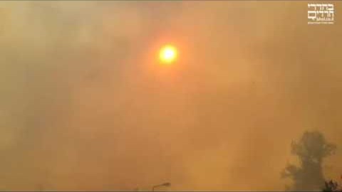 Compilation vidéos des incendies en Israël