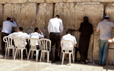 Paracha Tétsavé : Moché nourrit la foi de chaque juif – Rav Yaacov Zerbib