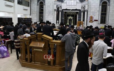 Veille de Pourim 5778 dans les Choul de Kfar Habad