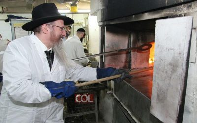 Le Grand Rabbin de Russie à la fabrique de Matsot Chemourot de Moscou
