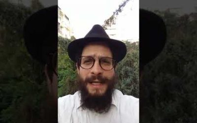 Tsav en 1mn « D&rsquo;où vient le feu de la Torah ? »