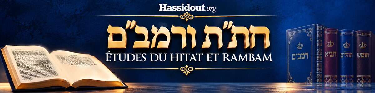 Hitat - études quotidiennes