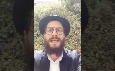 Pessa&rsquo;h Chéni, de quel droit ? – Matityahu Majerowicz