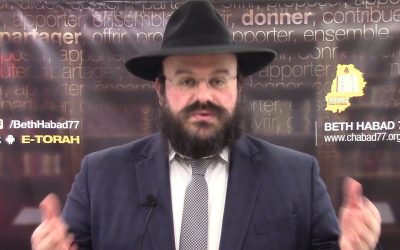 Tazria-Metzora:  Comment procéder au raffinement personnel ?  Le sens du Omer Rav Yossi Amar
