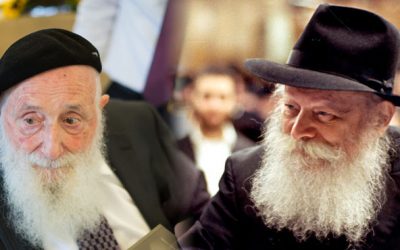 Le professeur Branover et le Rabbi : « Il fallut six mois de recherche pour découvrir l’erreur évoquée par le Rabbi »