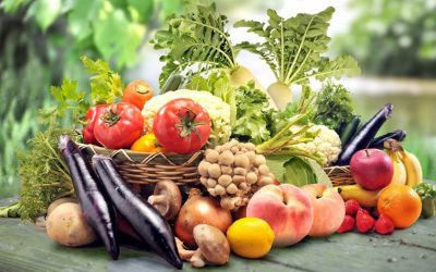 Les lois sur les bénédictions des aliments #1 – Rav Yaacov Zerbib