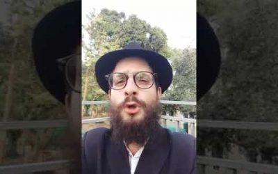 Paracha Behar en 1 minute – Matityahu Majerowicz