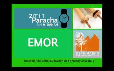 Paracha Emor – Rav Mendy Danan