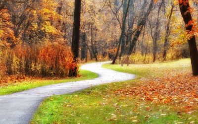 Sommes-nous prédestinés ? – Rav Yaacov Zerbib