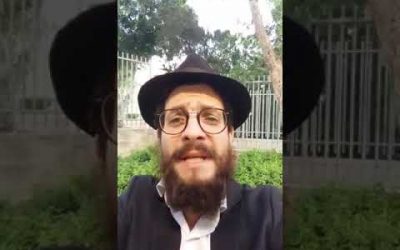 Spécial Chavouot : On se réveille ! – Matityahu Majerowicz