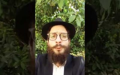 Beaalotha : Le bureau des objets trouvés – Matityahu Majerowicz