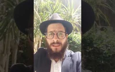 &lsquo;Houkat « Quel chemin emprunter ? » – Matityahu Majerowicz