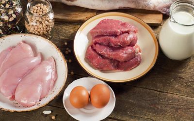 Le temps d’attente entre le lait et la viande – Rav Yaacov Zerbib